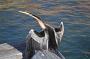 sydney-sep-2013 055